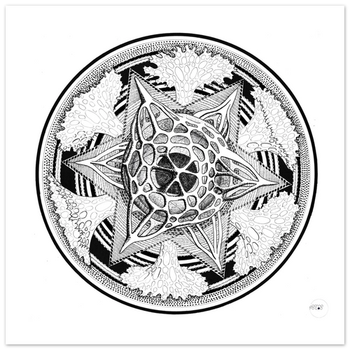 08ed86e1-5af2-4b34-a2df-881bc1cbce2b